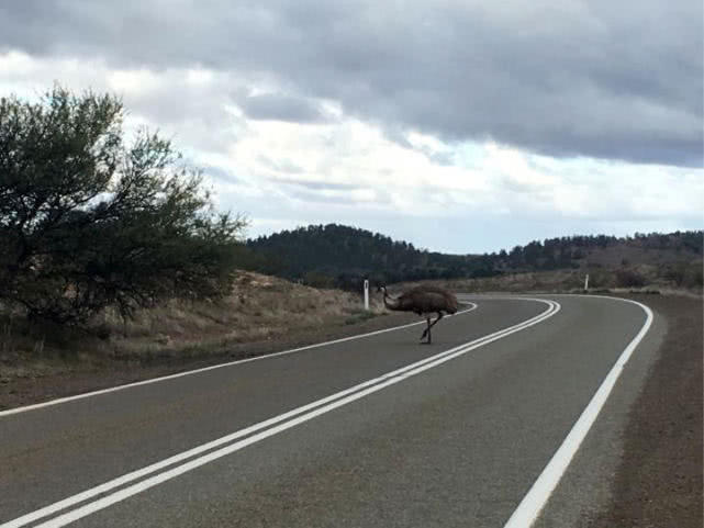 在澳洲的生活是一种怎样的体验：这边的人很懒，非常喜欢钓鱼