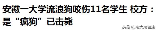 学生养宠物猪被批评,大学生宿舍养宠物处分有什么影响