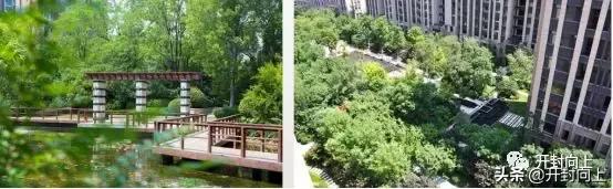 每一次惊艳亮相都是勇立潮头,每一次亮相都无限惊喜