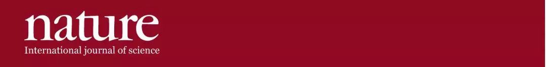 nature科学排行榜,nature2017年十大科学进展