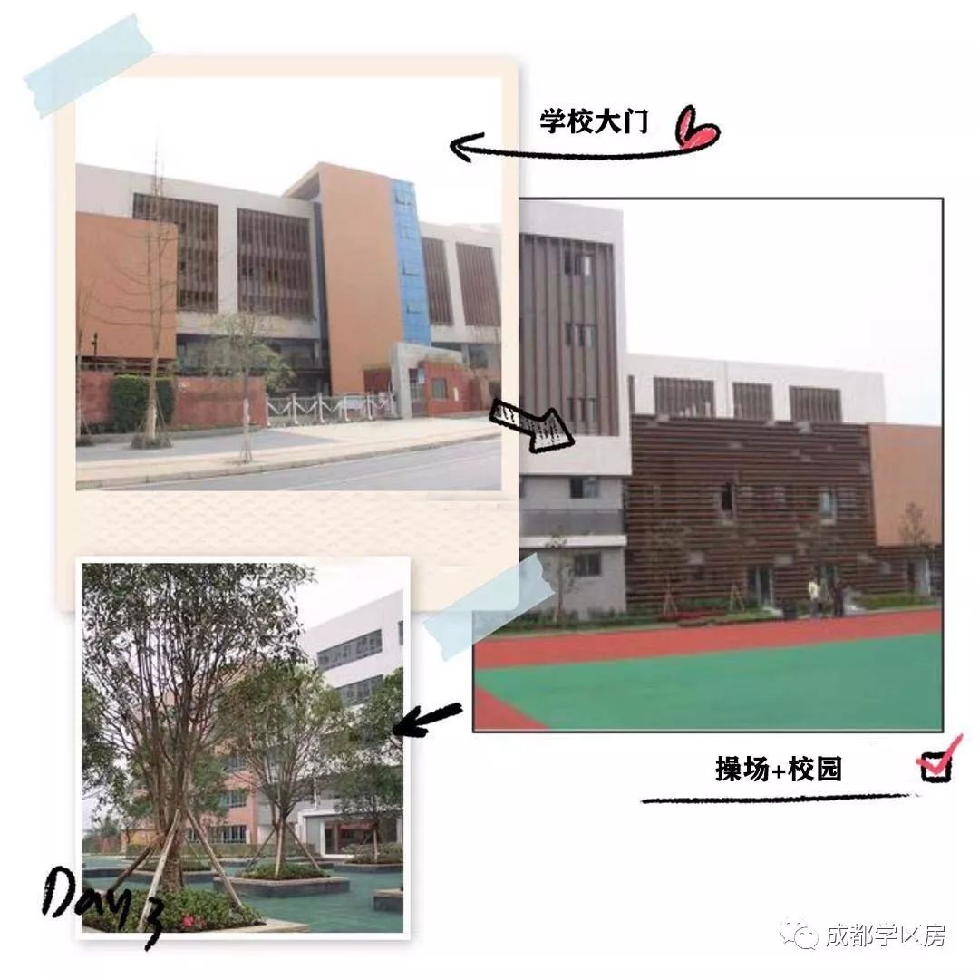 成师附小分校有哪些,成师附小哪个分校最好