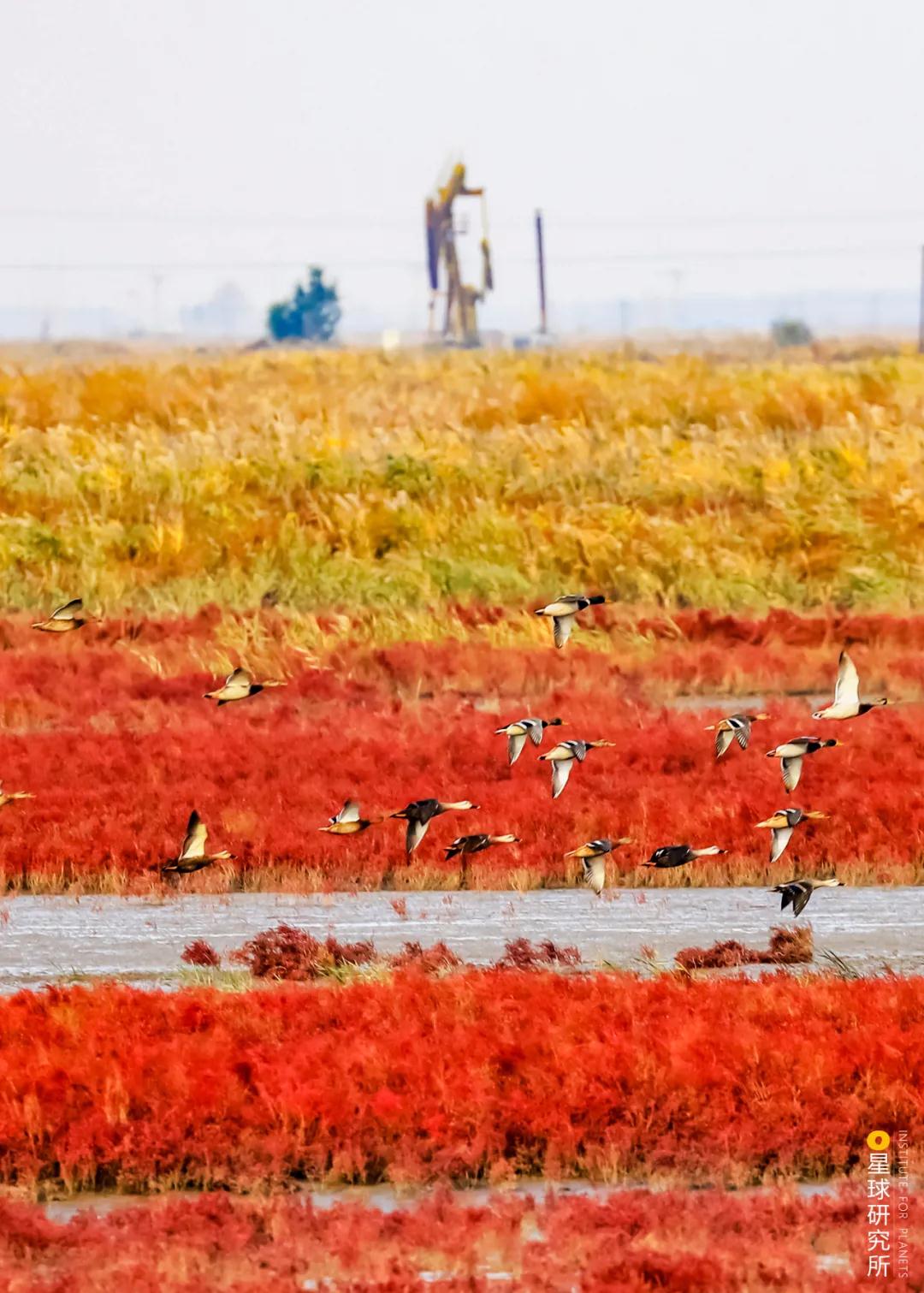 林草领域知识图谱,林草科普专业术语