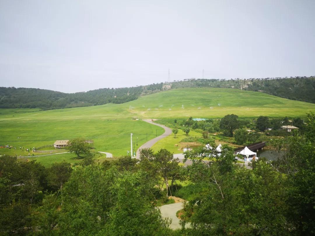 大连旅游攻略精致景点推荐,大连必去的打卡景点