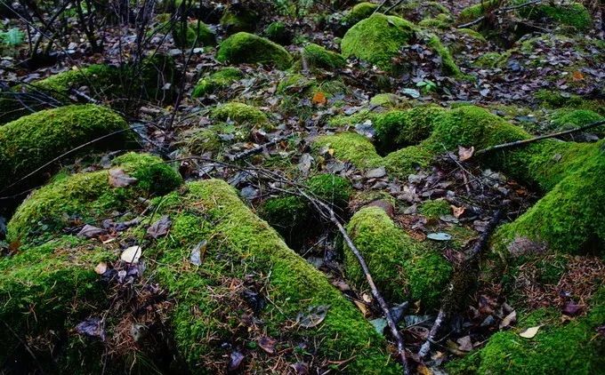 年平均气温25度左右的城市,年平均气温18度城市