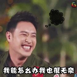 新加坡酷航迫降,万米高空飞机返航