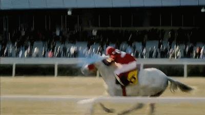 一人一马，车太贤倾情演绎跌倒的人生如何再爬起来