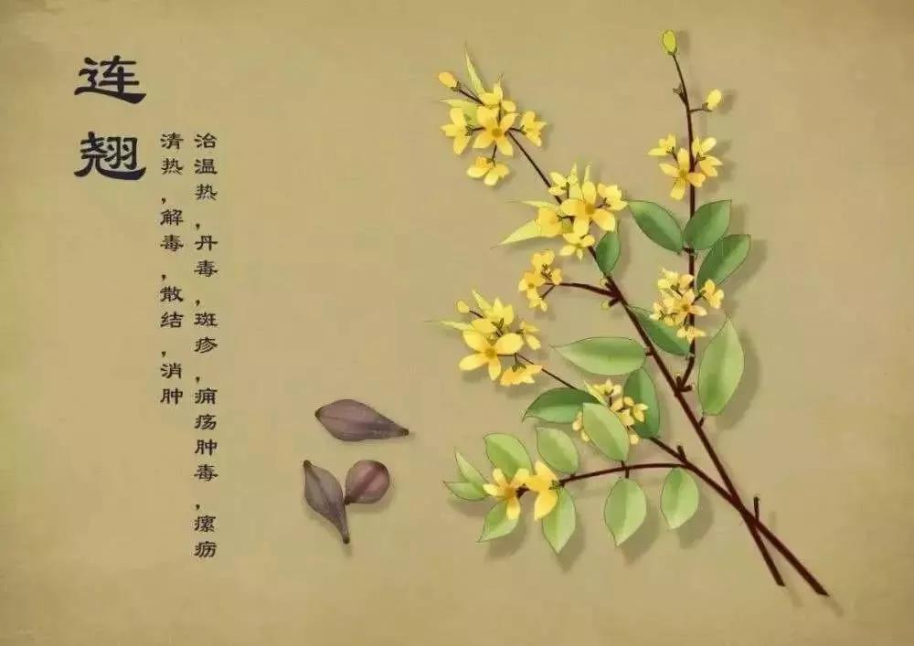 N95口罩、双黄连口服液一夜脱销,这些英语表达你都知道吗?