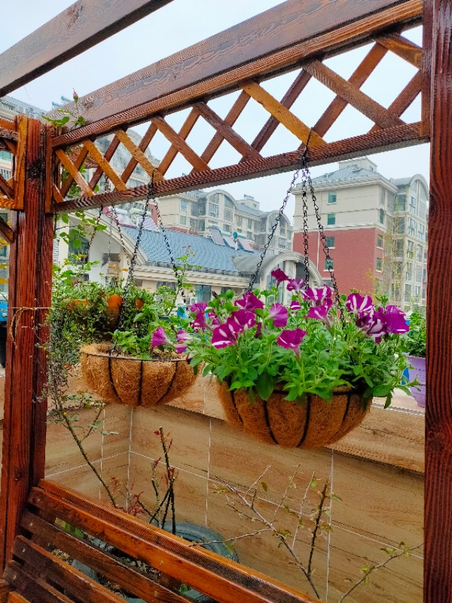 不用木头自制花架最简单的方法,请教DIY高手如何自制花架