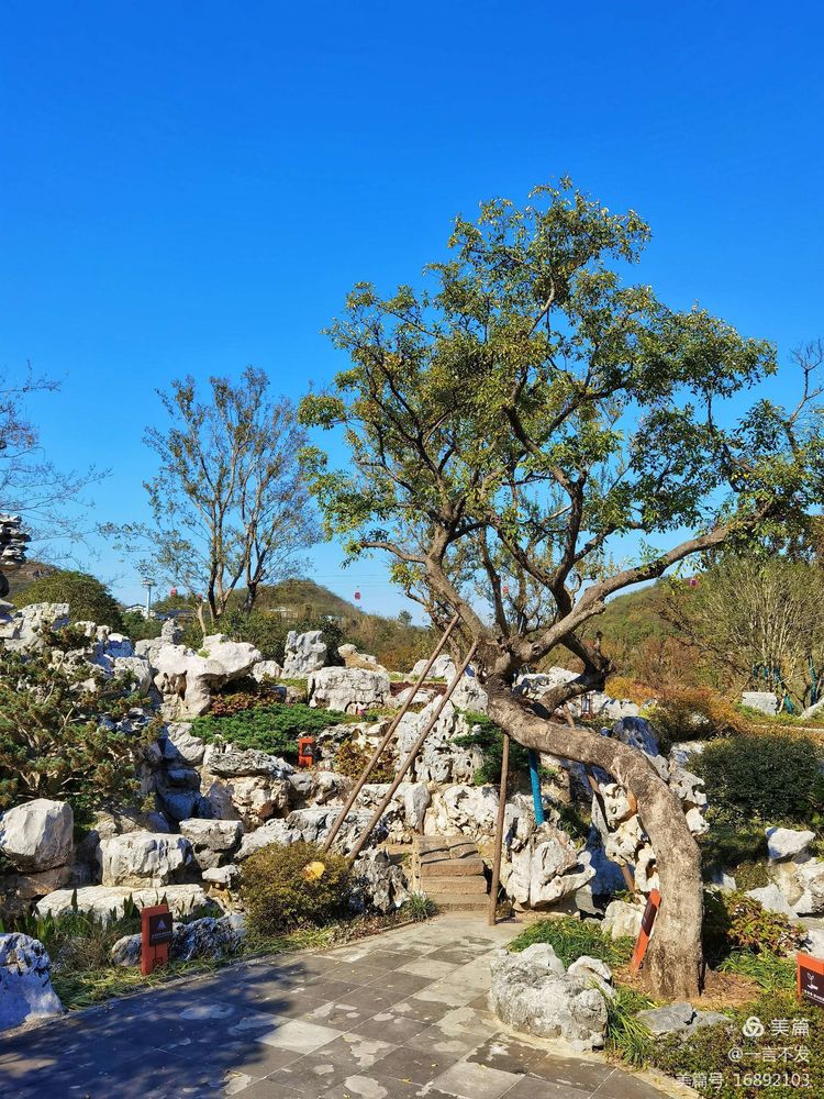 南京园博园时光亦谷游玩攻略路线,紫清湖和园博园哪个值得一去