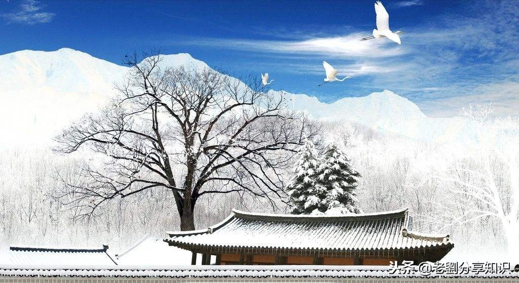 冬天到了1000字作文高中,写冬天的校园的作文高一