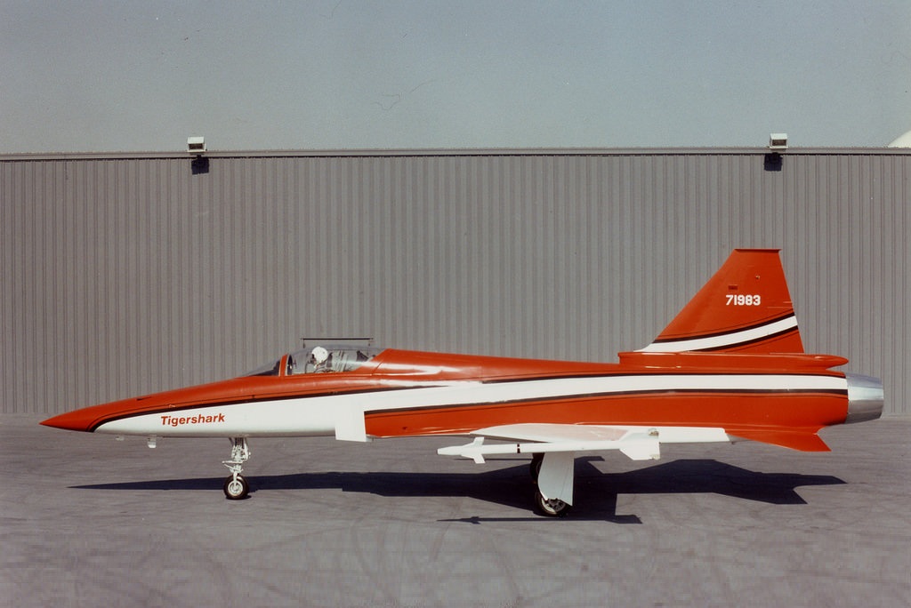 极富悲剧色彩的虎鲸,虎鲨悲剧