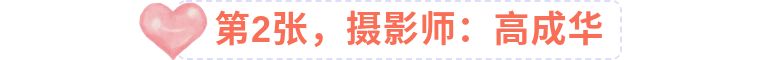 手机拍出人像大片的照片技巧,手机拍出清晰照片的20个技巧