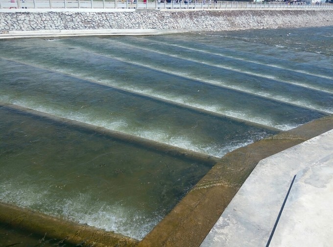 青海湖湟鱼洄游季直播,青海湖湟鱼洄游开幕式