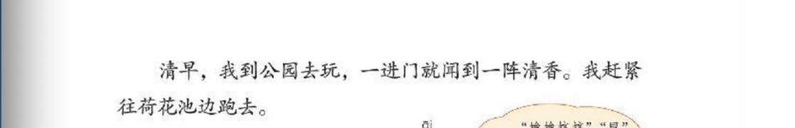 用思维导图学习语文三年级下册《荷花》，仿写《荷花》