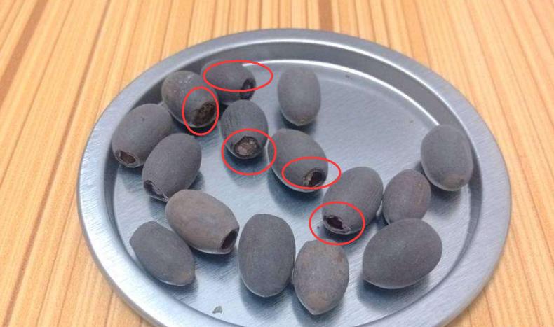 碗莲夏天的养殖方法,碗莲夏天可不可以种