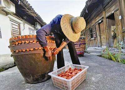 宁波虾干的家常做法,宁波虾干去哪里买