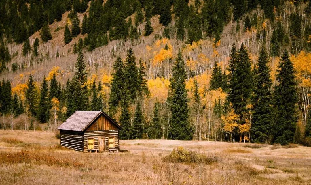 乡村旅游助推乡村振兴汇报材料,乡村振兴背景下乡村旅游发展研究