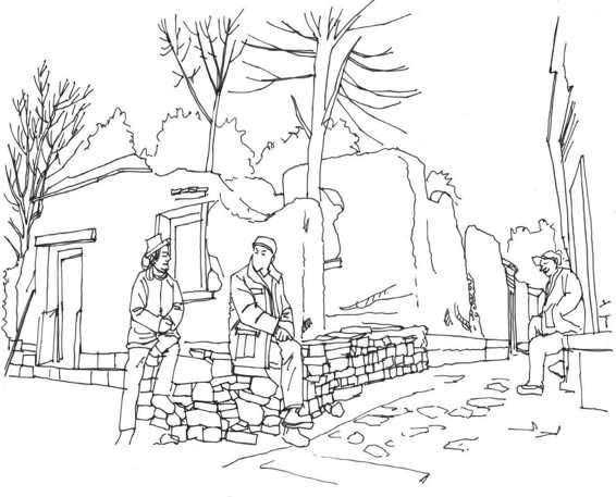 速写风景初学者入门教程,速写风景初学者入门教程植物