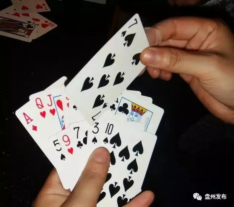 拱猪子介绍,拱猪幽默段子