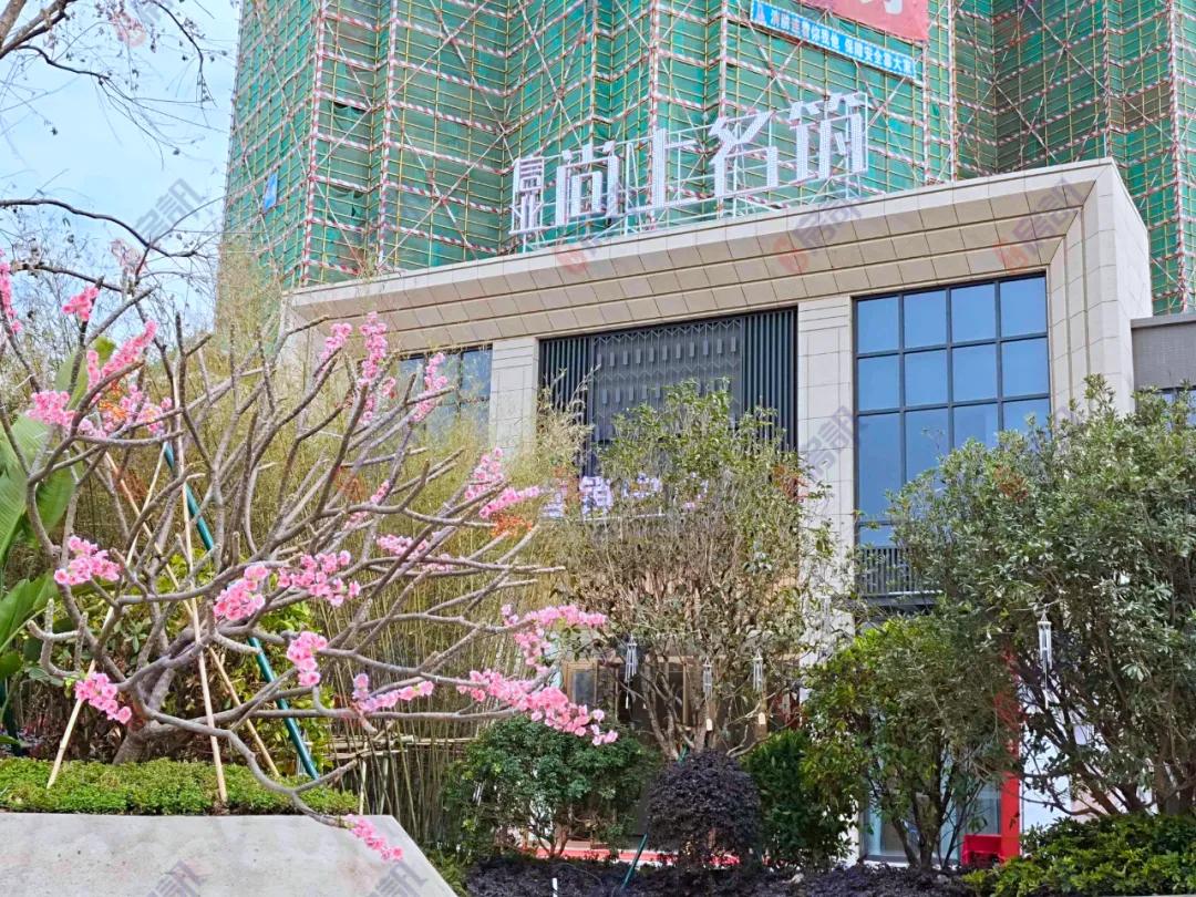 中山小榄东升镇新楼盘,中山小榄镇新楼盘最新房价