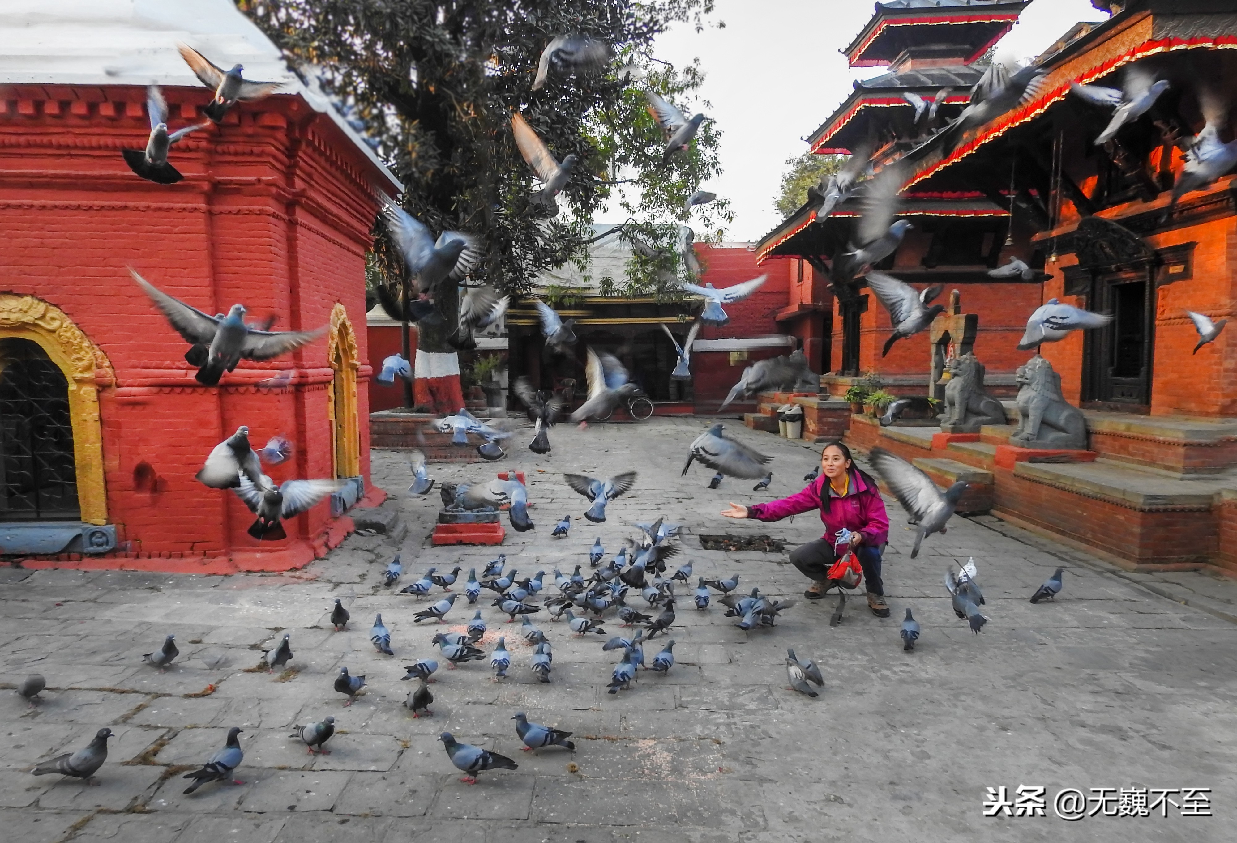 尼泊尔act徒步旅行,尼泊尔act徒步攻略大全