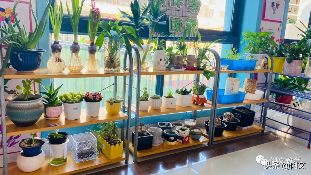 环境创设一年级,幼儿园梦想小学环境创设