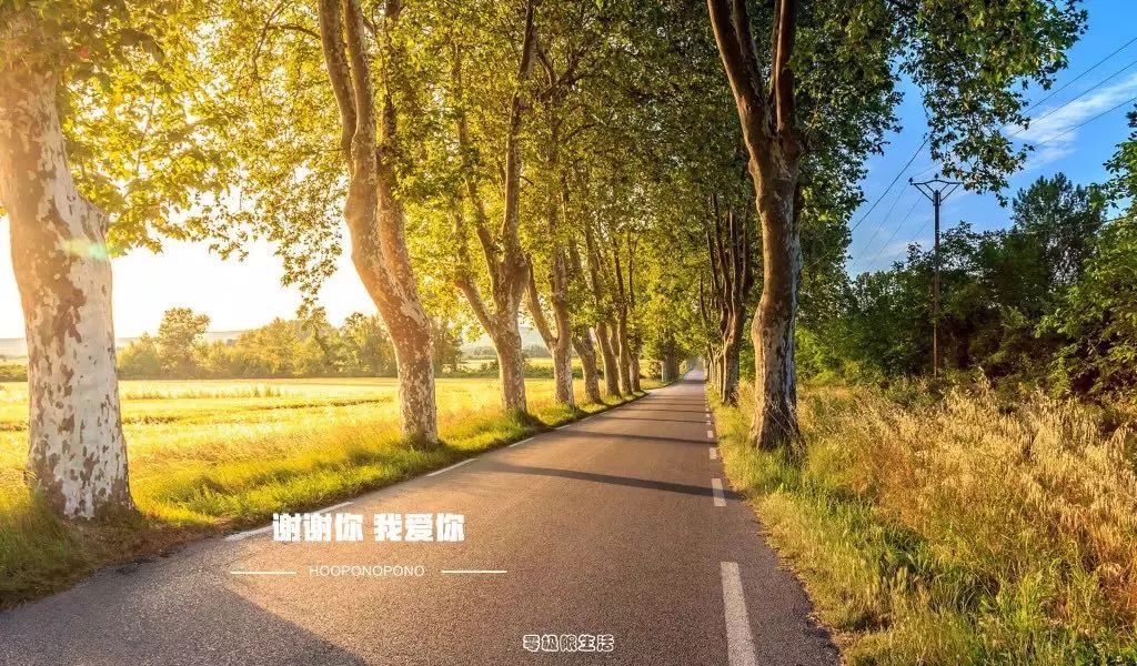 初一期中学习地理心得,地理学习心得写法模板