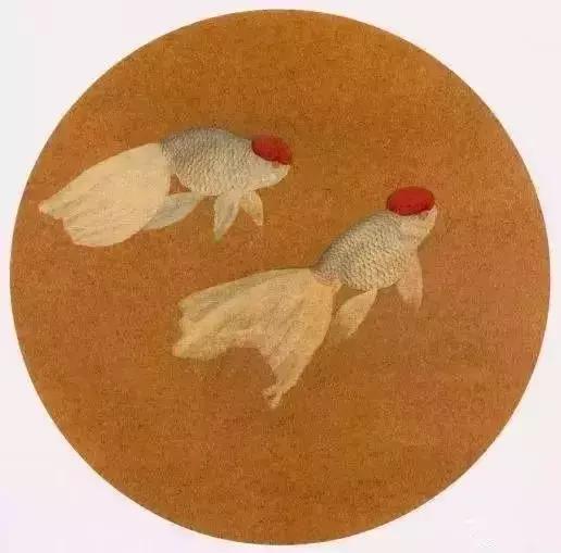 工笔金鱼团扇教学视频,工笔金鱼国画图片大全