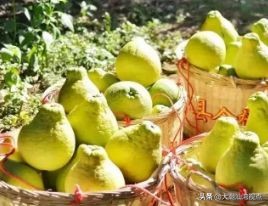 广东省每个地级市发展排名,广东省的21个地级市是什么