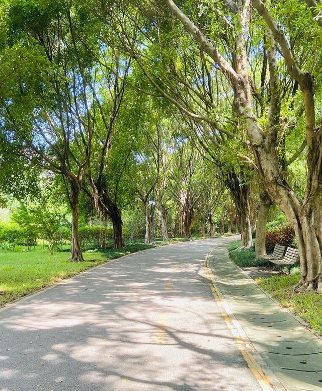 深圳荔枝公园跑步一圈有多长,目前深圳有哪些地方适合跑步