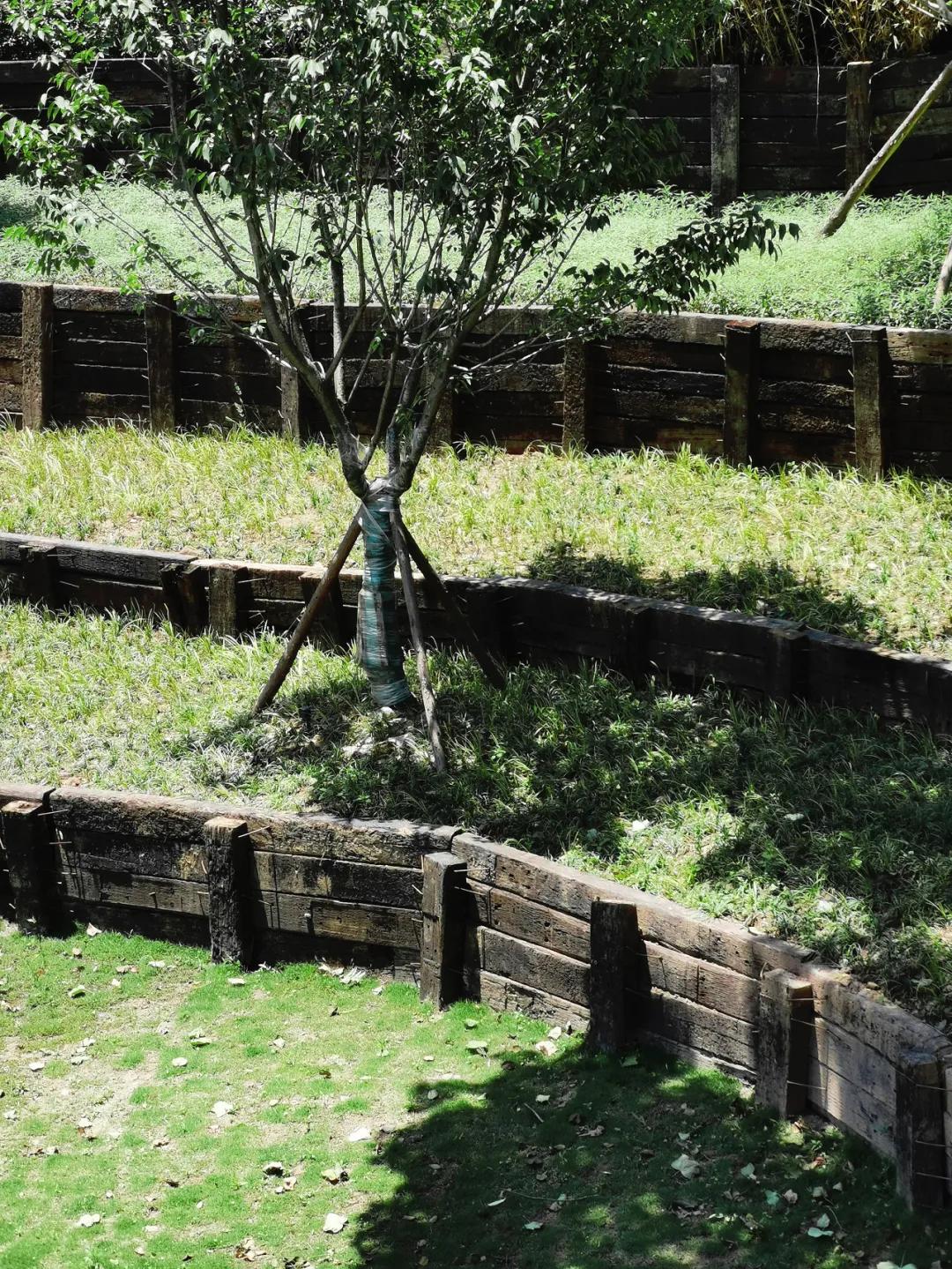 易兰规划|四川成都淮州·云顶牧场