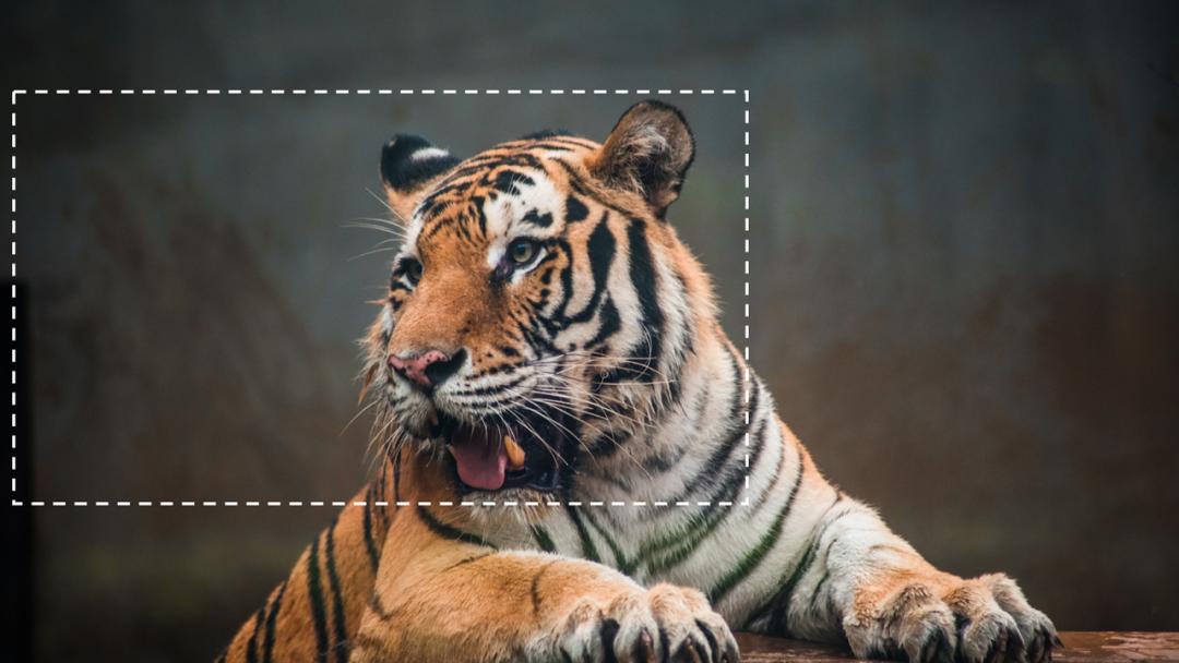 适合做ppt背景的高清大图教学,如何做一个漂亮的ppt背景