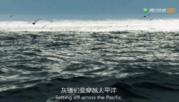 被吹爆的神片,被吹上天的神作