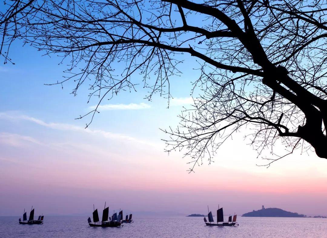 传国玉玺1-100集免费观看,传国玉玺100集免费