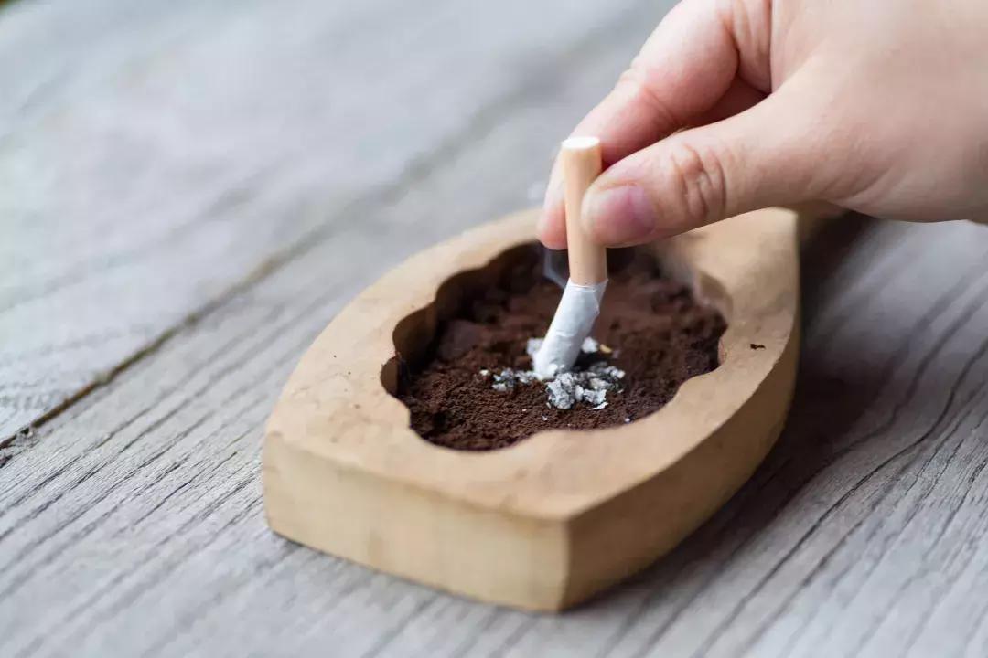 骨密度低怎么办成人,骨密度低就是骨质疏松吗