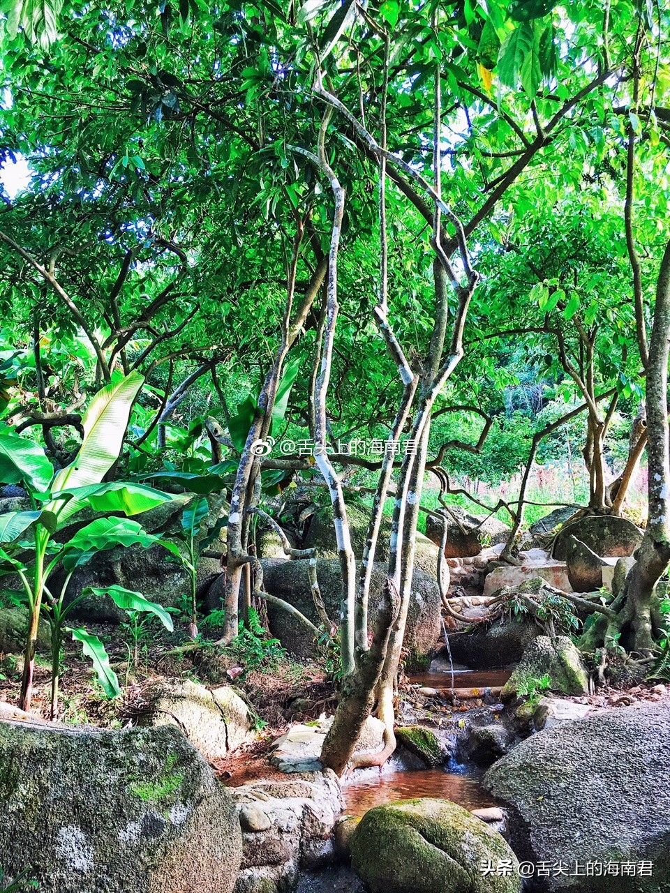 令人流连忘返的美景,令人心旷神怡的地方海南