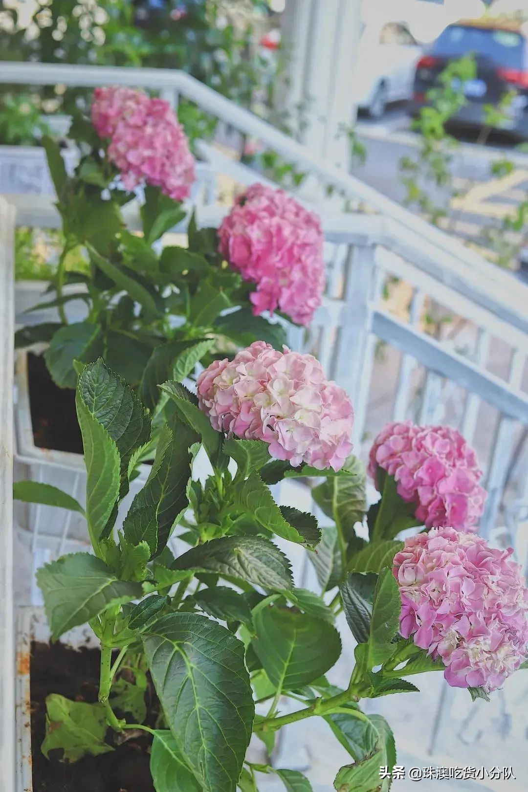 韩国ins风咖啡馆50平,韩国咖啡馆推荐