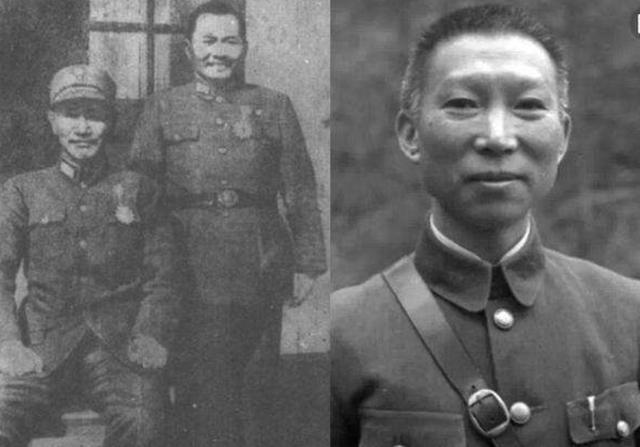 万家岭大捷为何称为三大战役之一,万家岭大捷东方战场全歼106师团