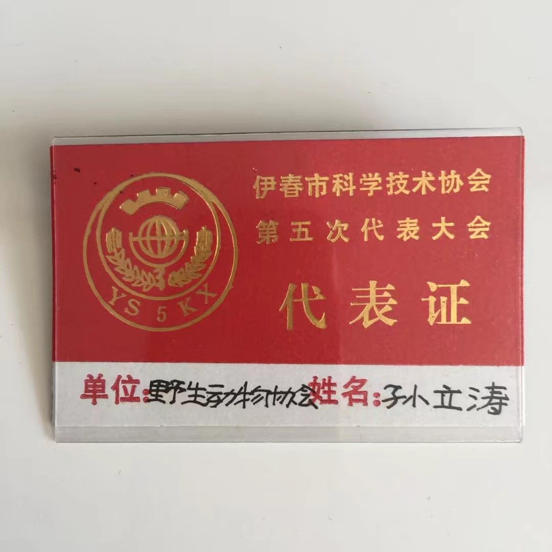 90年代伊春往事,伊春林区往事