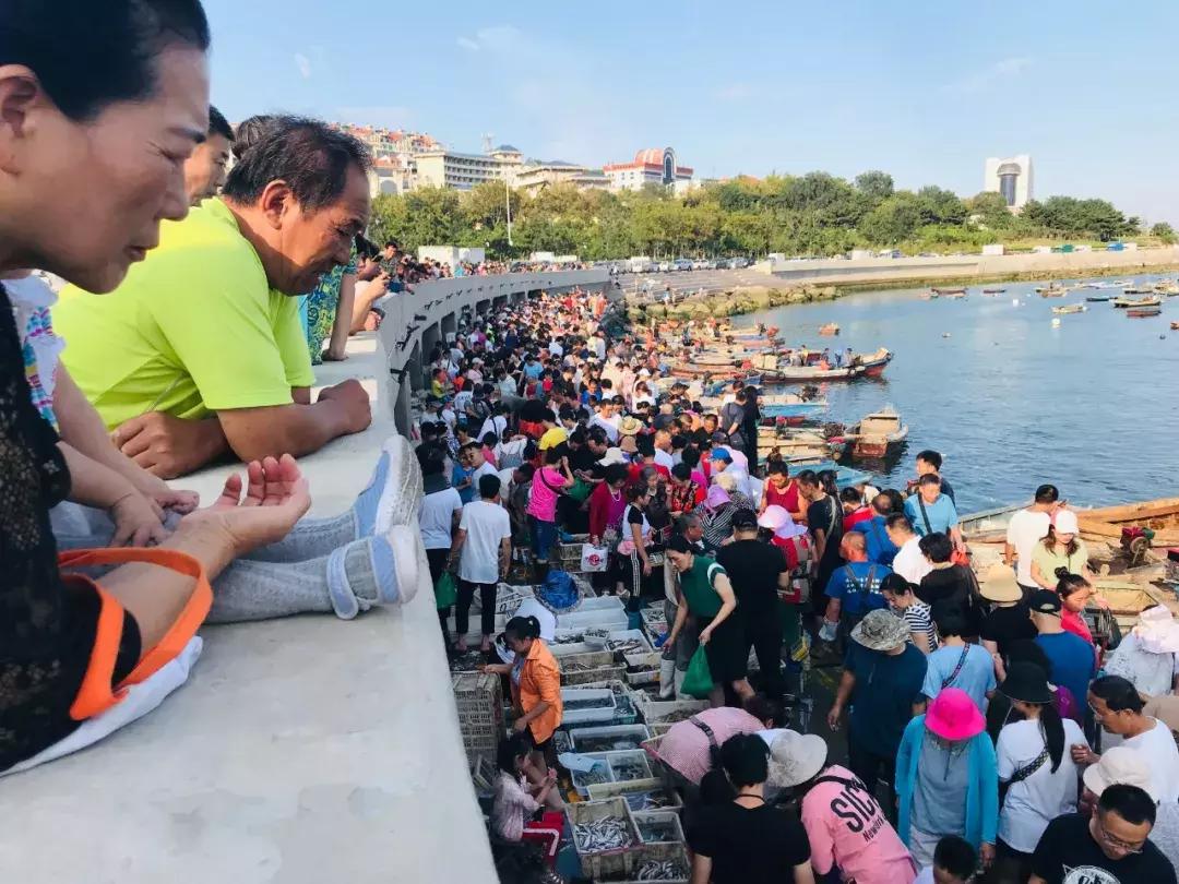 威海海鲜开海期,威海开海海鲜便宜还是贵