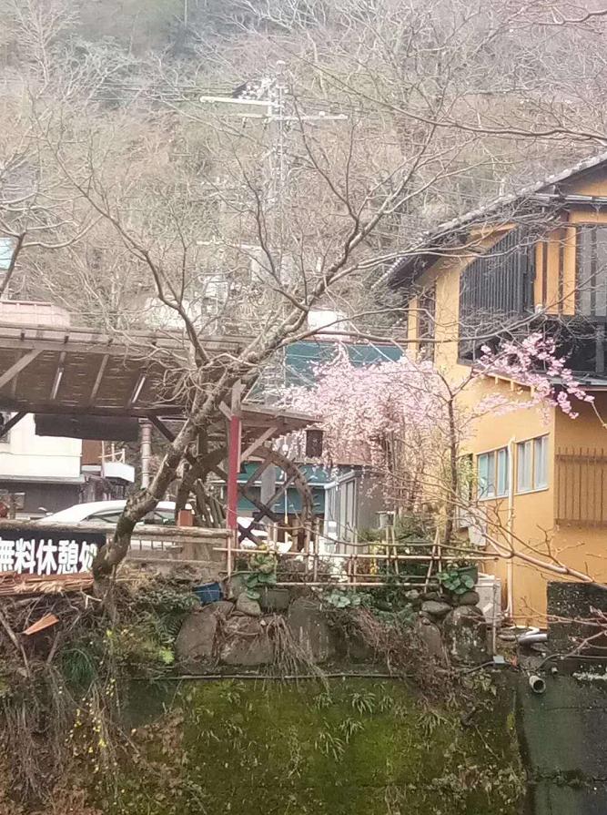 诗词刘柏荣,刘柏荣的诗词