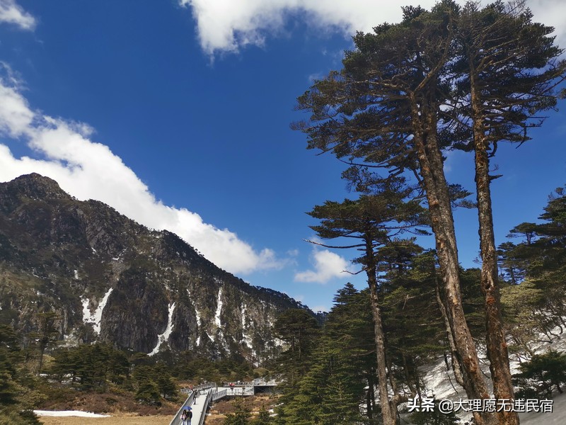 大理苍山一日免费游详细攻略,大理苍山旅游攻略自由行