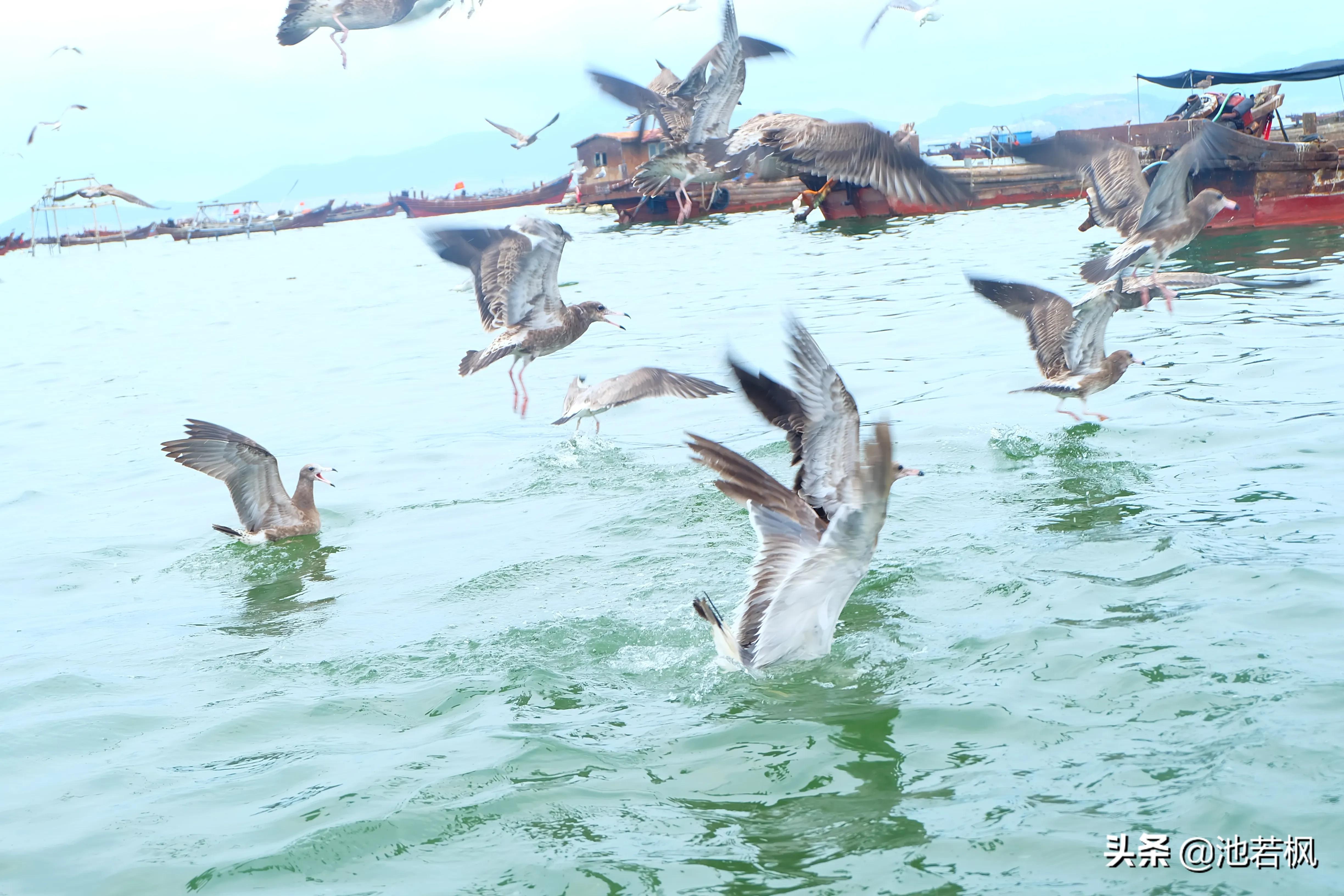大连不一样的旅游,大连不一样的天气