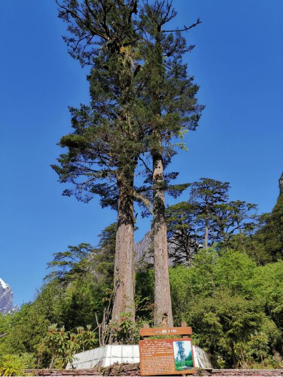 海螺沟燕子沟四日游,海螺沟燕子沟风景区