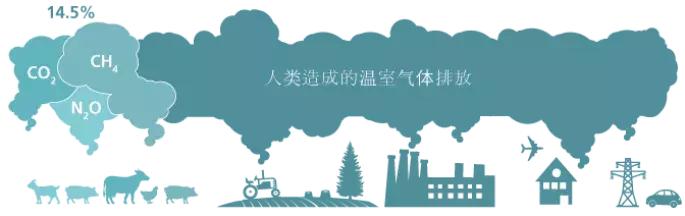 全球气候变暖对荷兰的影响,全球变暖会对荷兰产生怎样的影响