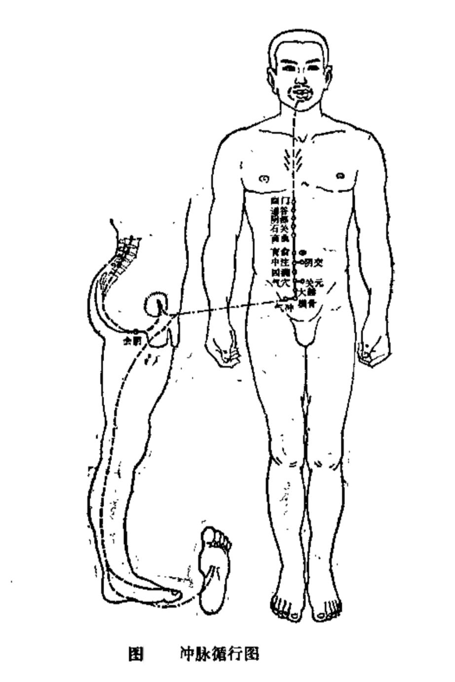 奇经八脉之督脉动态循行干货分享,奇经八脉与十二经脉循行的不同点
