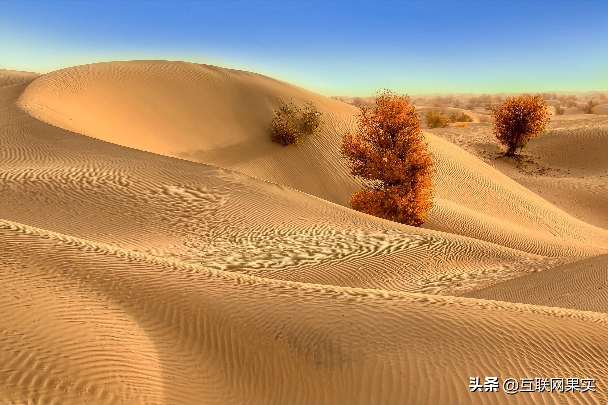 我国对沙漠沙子的使用量,中国的沙子需求量增加