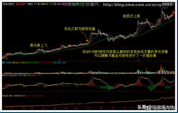 筹码分布战法全套讲解,筹码分布运用详解大全