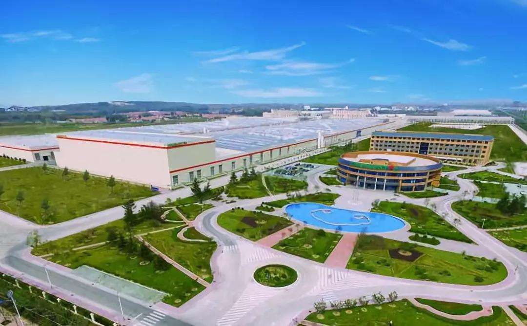 中国鞋王干翻耐克,中国鞋王安踏李宁