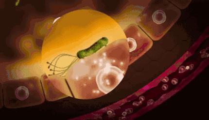 一口黄牙竟让形象尽毁！‘到手香’帮你重新找回自信！大胆开笑